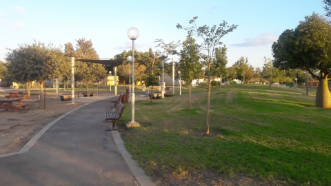 c82100.1610023354.jpg