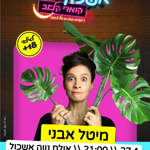 מיטל אבני 