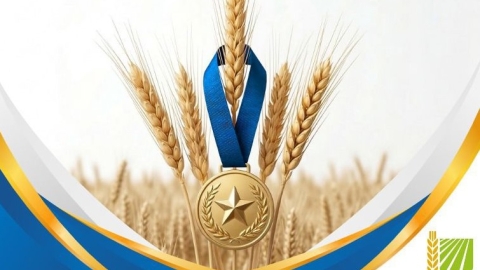 יקירי אשכול 2026 